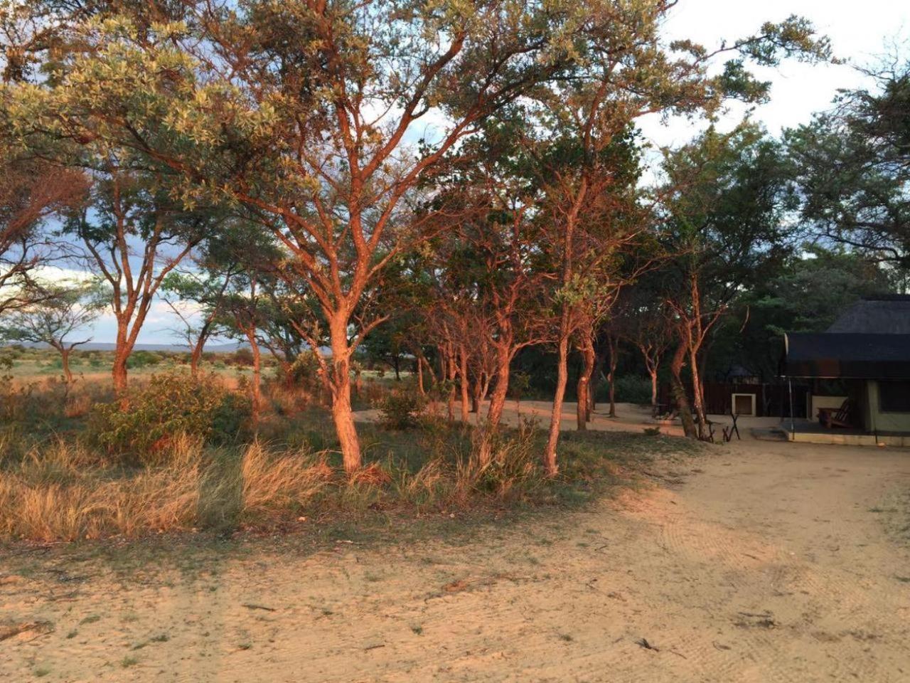 Kigeni Safari Lodge & Spa Vaalwater Exterior photo
